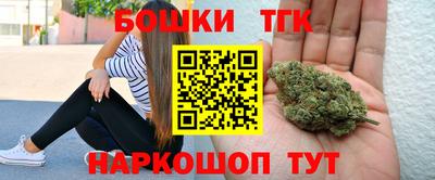 индика Беслан