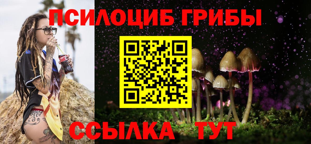 Апрелевка  Галлюциногенные грибы Cubensis  как найти закладки  Вход с VPN  Галлюциногенные грибы мицелий 