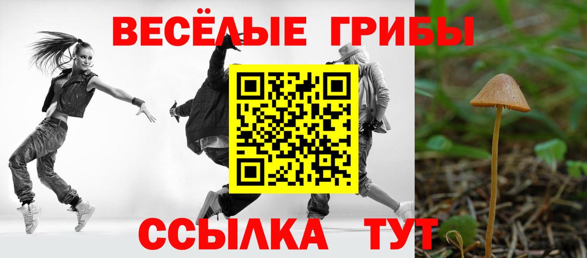 Галлюциногенные грибы прущие грибы Апрелевка